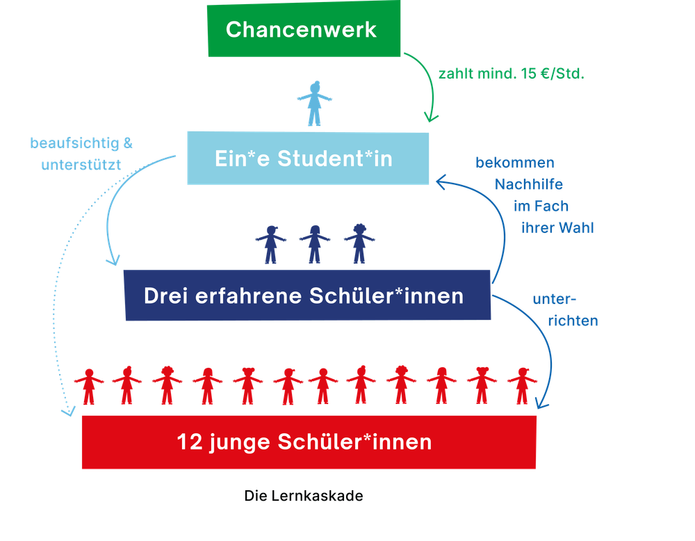 Chancenwerk stellt Studierenden ein, die erfahrene Schüler*innen coachen, die wiederum jungen Schüler*innen Nachhilfe gibt