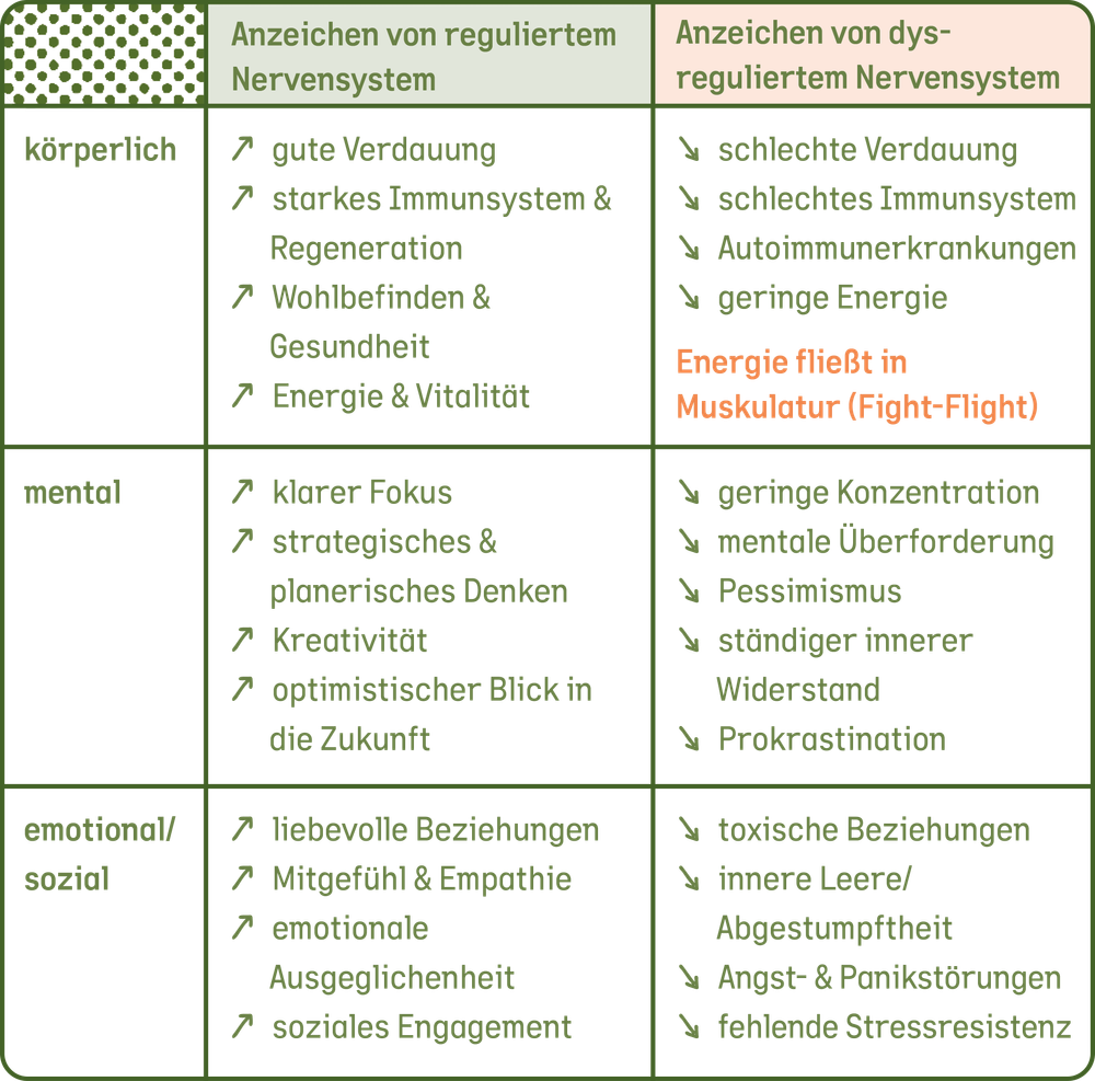 Eine Tabelle, in der aufgelistet ist, wie ein reguliertes Nervensystem sich im Vergleich zu einem unregulierten Nervensystem verhält. 