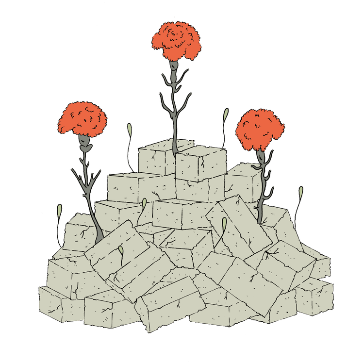 Aus einem Haufen Trümmersteinen wachsen drei rote Blumen.