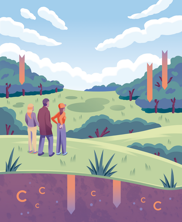 Drei Personen stehen in einer grünen Landschaft und schauen sich die Wege des Kohlenstoffs an