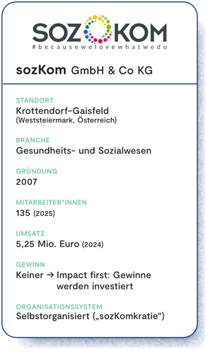 Ein Organigram der Organisation sozKom mit den wichtigsten Informationen, wie der Gründung (2007) und der Mitarbeitendenanzahl (135).