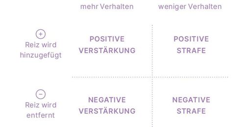 Eine Matrix mit zwei Achsen: Reiz und Verhalten